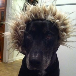 Meet your Posher, Karen